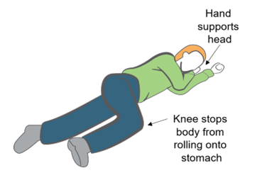 Illustration of a person lying on their side in a recovery position, with text labels indicating that a hand supports the head and a bent knee prevents rolling onto the stomach.